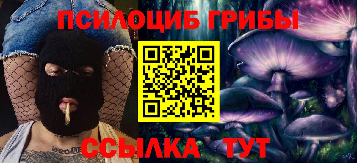 Электрогорск  Псилоцибиновые грибы GOLDEN TEACHER  цены наркотик  Вход с VPN 