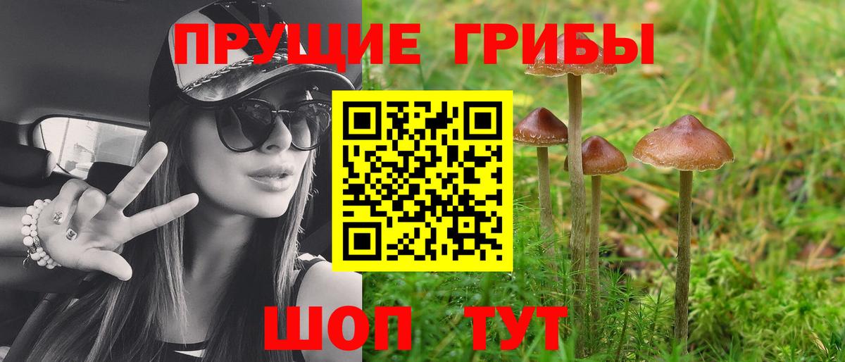 Галлюциногенные грибы Psilocybine cubensis Электрогорск